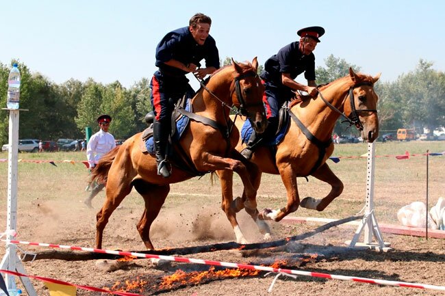 В Ростовской области пройдут конноспортивные соревнования в честь атамана Матвея Платова